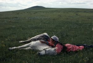eve arnold, inner mongolia horse training for the militia, 1979
